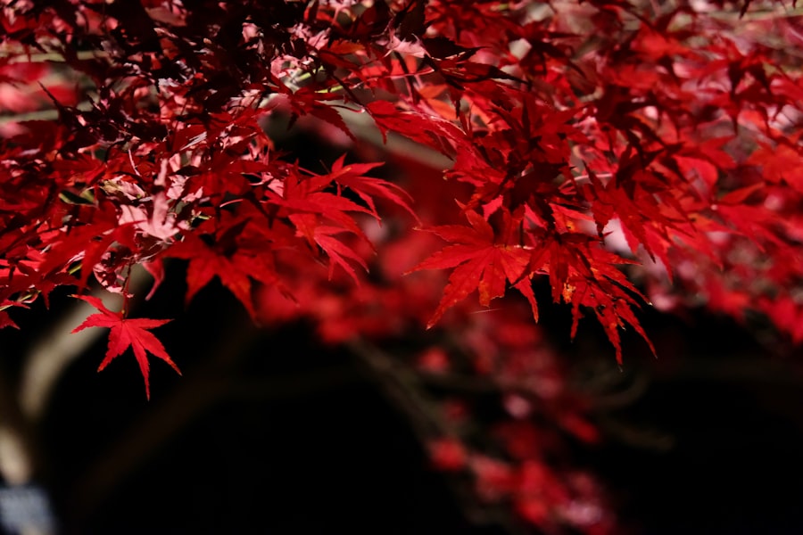 Samochody wodorowe - przyszłość motoryzacji 3 Samochody wodorowe - przyszłość motoryzacji