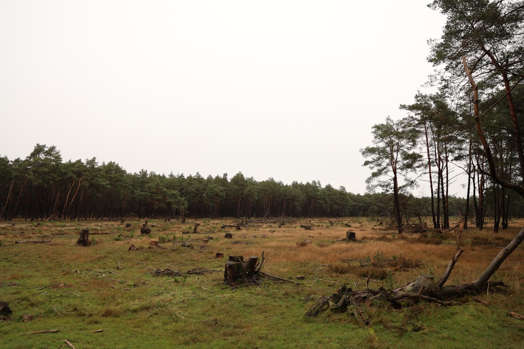 Photo climate change impact