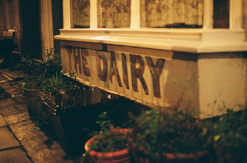 Photo diet without dairy