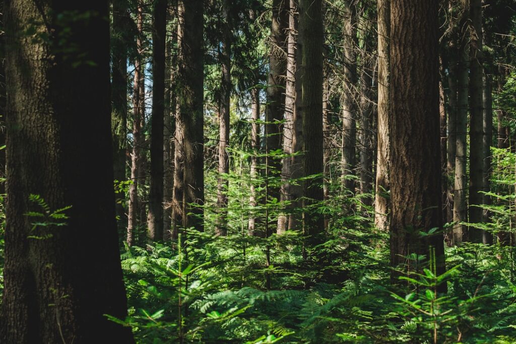 Photo ecological reports