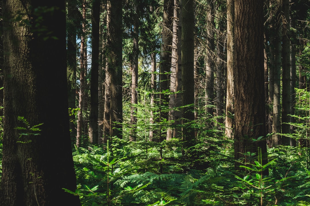 Photo ecological reports